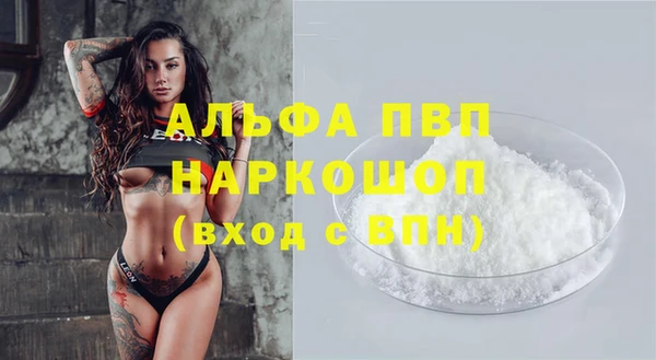 ПСИЛОЦИБИНОВЫЕ ГРИБЫ Бородино