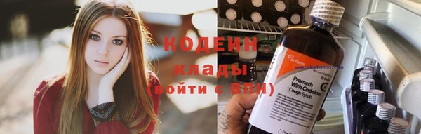 ПСИЛОЦИБИНОВЫЕ ГРИБЫ Бородино