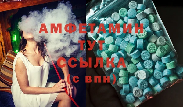 ПСИЛОЦИБИНОВЫЕ ГРИБЫ Бородино