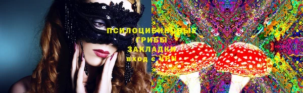 прущая мука Верея