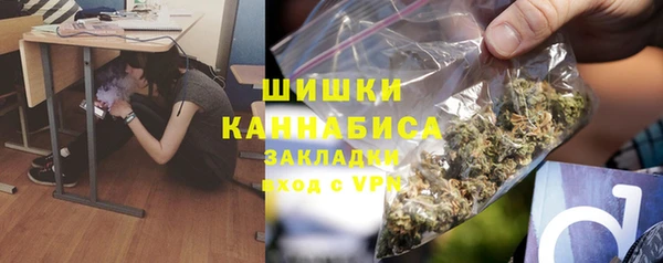 ПСИЛОЦИБИНОВЫЕ ГРИБЫ Бородино