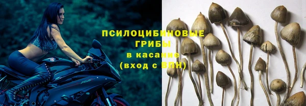 ПСИЛОЦИБИНОВЫЕ ГРИБЫ Бородино