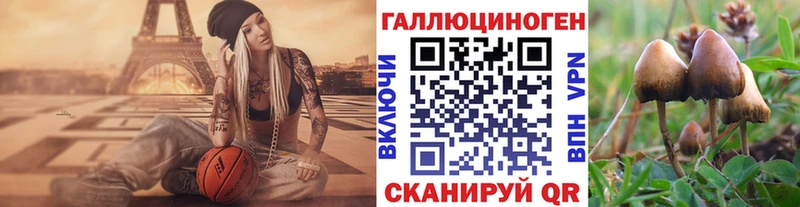 как найти закладки  MEGA зеркало  Псилоцибиновые грибы прущие грибы  Жигулёвск 